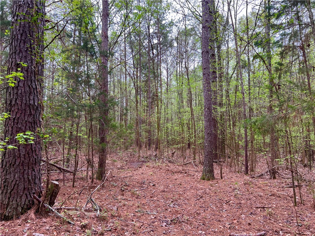 81 North Highway, Calhoun Falls, South Carolina image 22