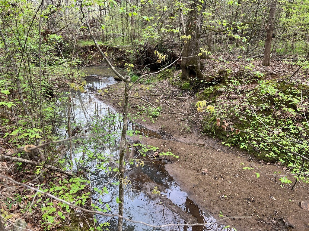 81 North Highway, Calhoun Falls, South Carolina image 19