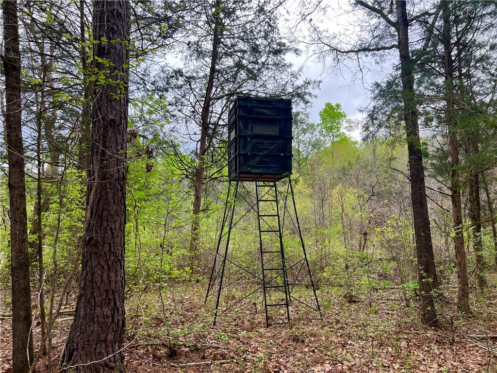 81 North Highway, Calhoun Falls, South Carolina image 26