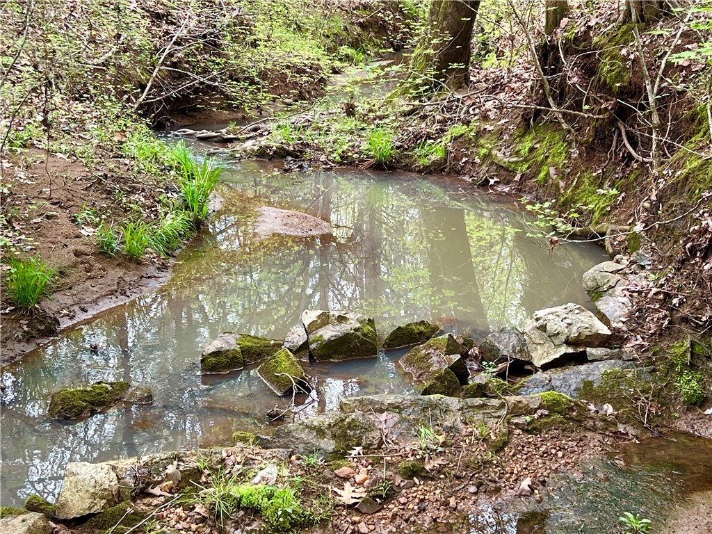81 North Highway, Calhoun Falls, South Carolina image 4