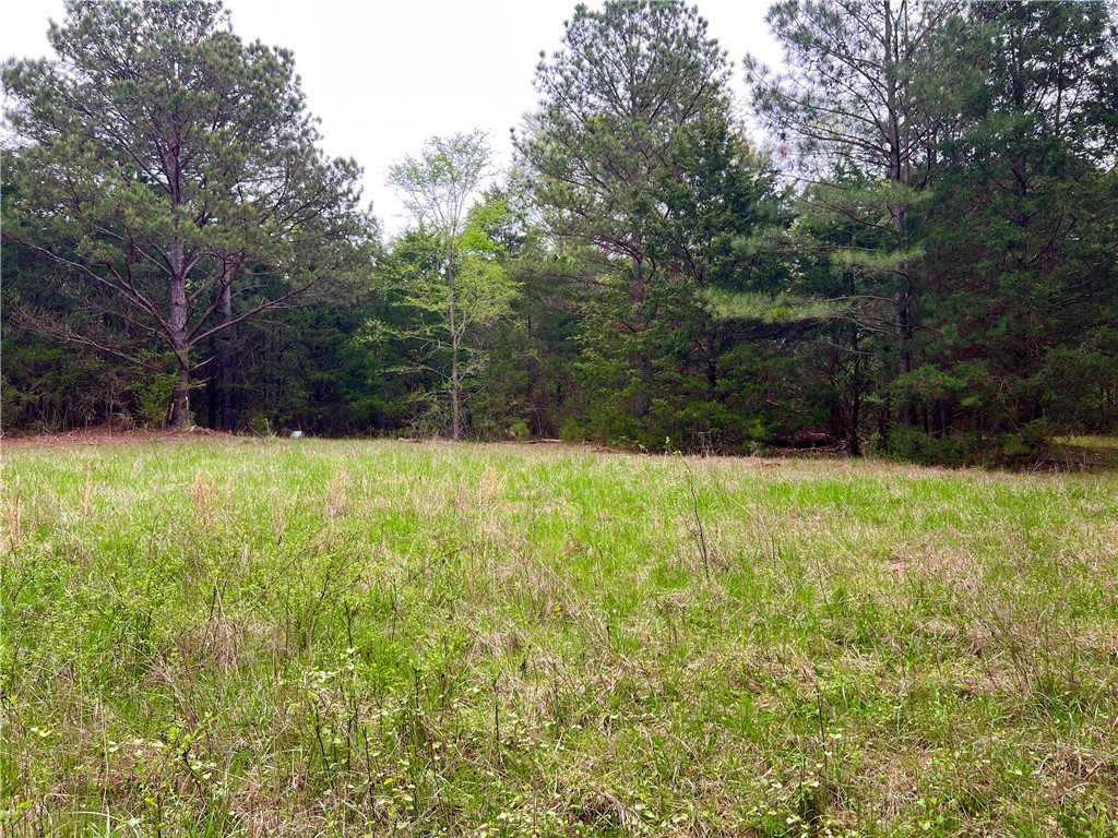 81 North Highway, Calhoun Falls, South Carolina image 12