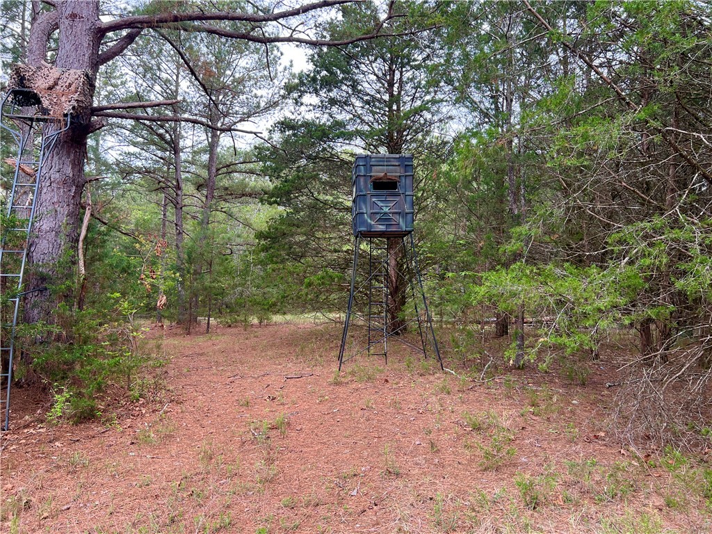 81 North Highway, Calhoun Falls, South Carolina image 21