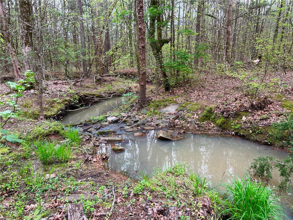 81 North Highway, Calhoun Falls, South Carolina image 3