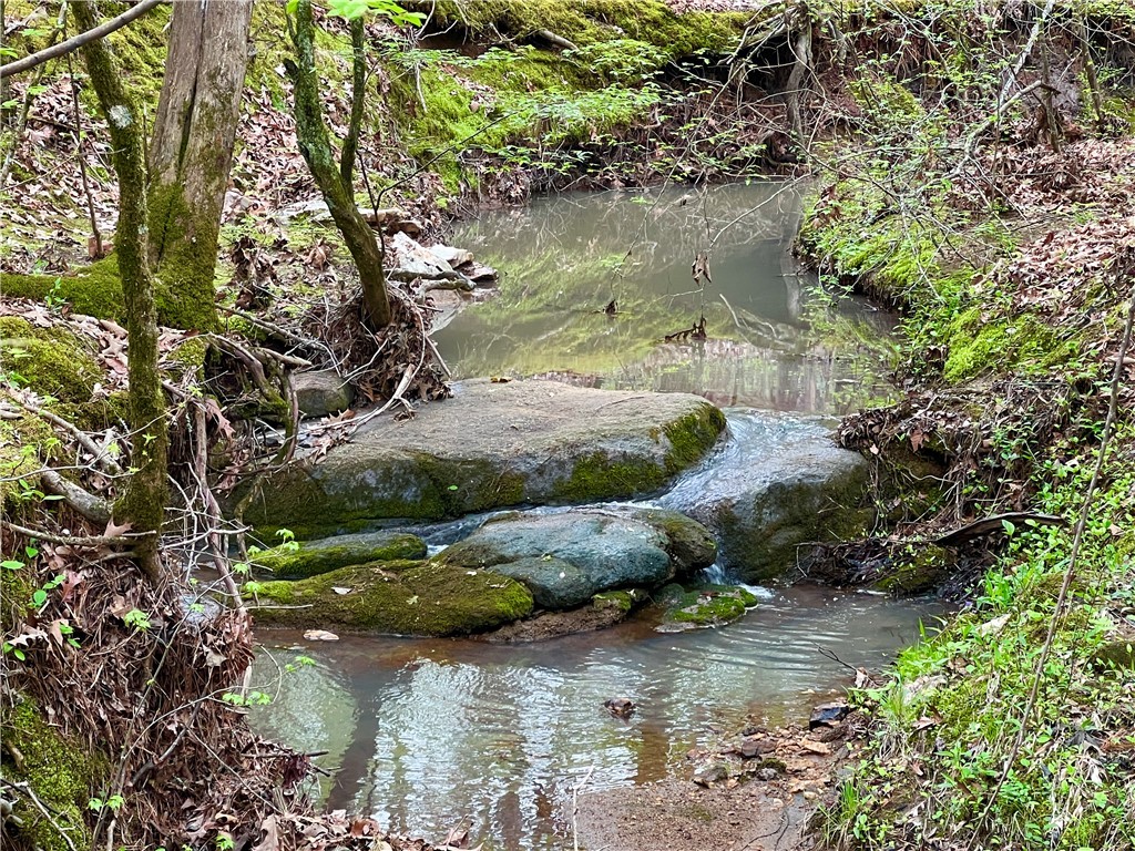 81 North Highway, Calhoun Falls, South Carolina image 1