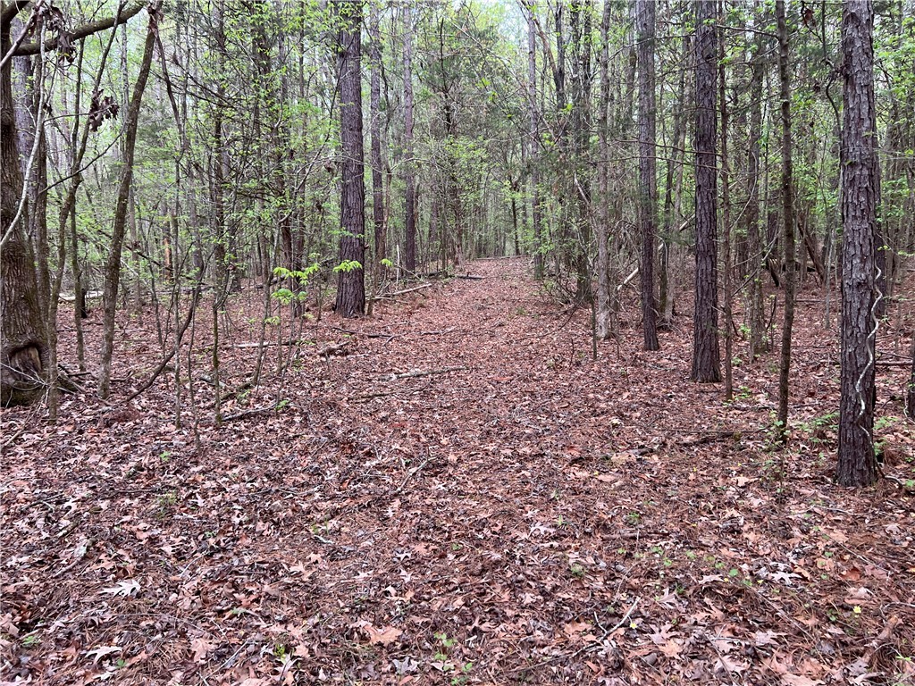 81 North Highway, Calhoun Falls, South Carolina image 17