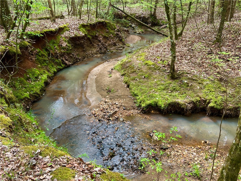 81 North Highway, Calhoun Falls, South Carolina image 5