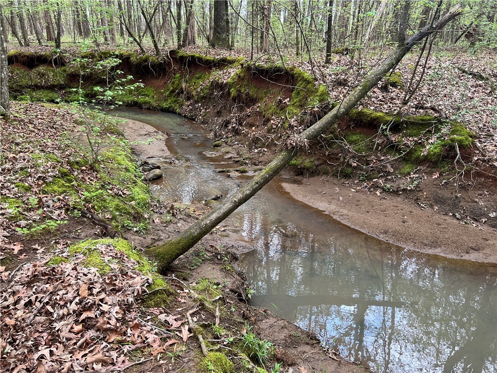 81 North Highway, Calhoun Falls, South Carolina image 23