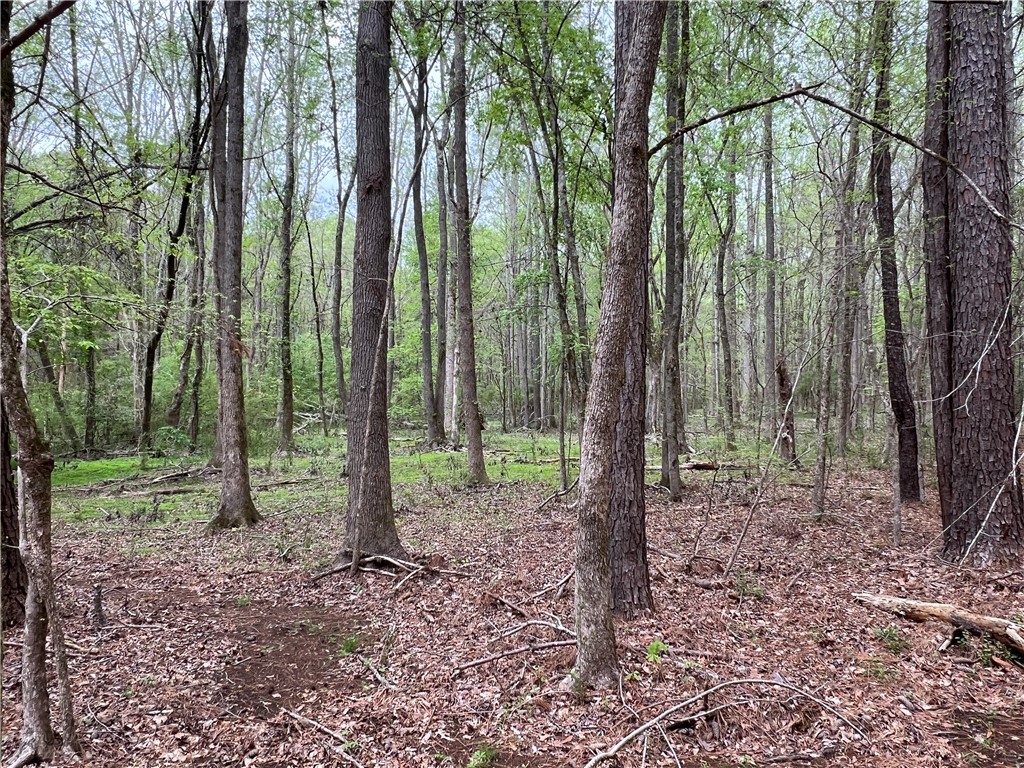 81 North Highway, Calhoun Falls, South Carolina image 14
