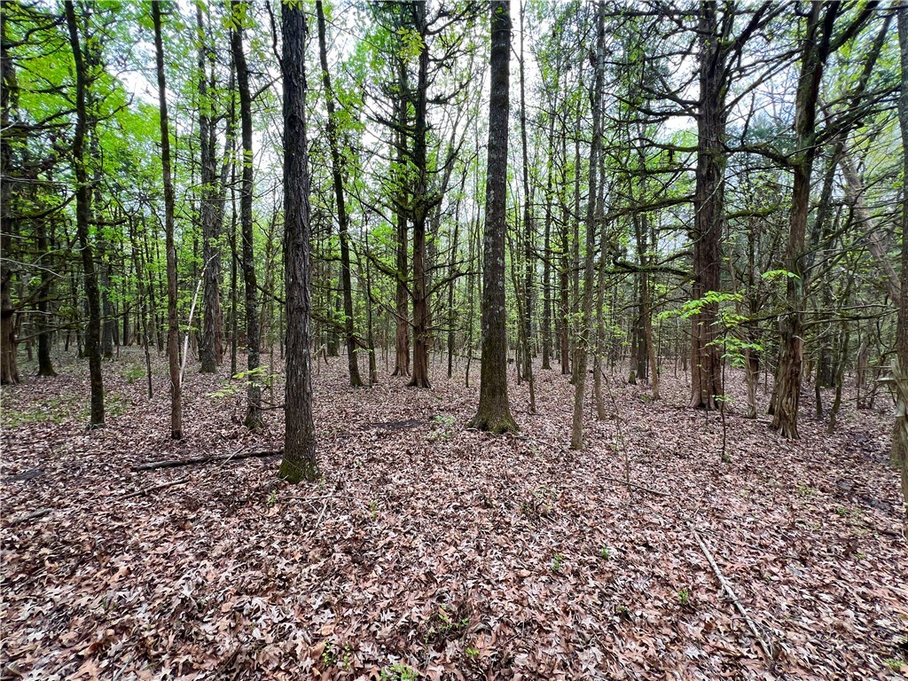 81 North Highway, Calhoun Falls, South Carolina image 24