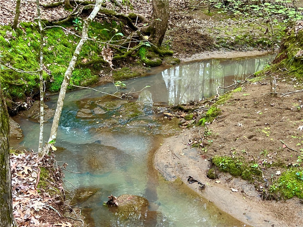 81 North Highway, Calhoun Falls, South Carolina image 8