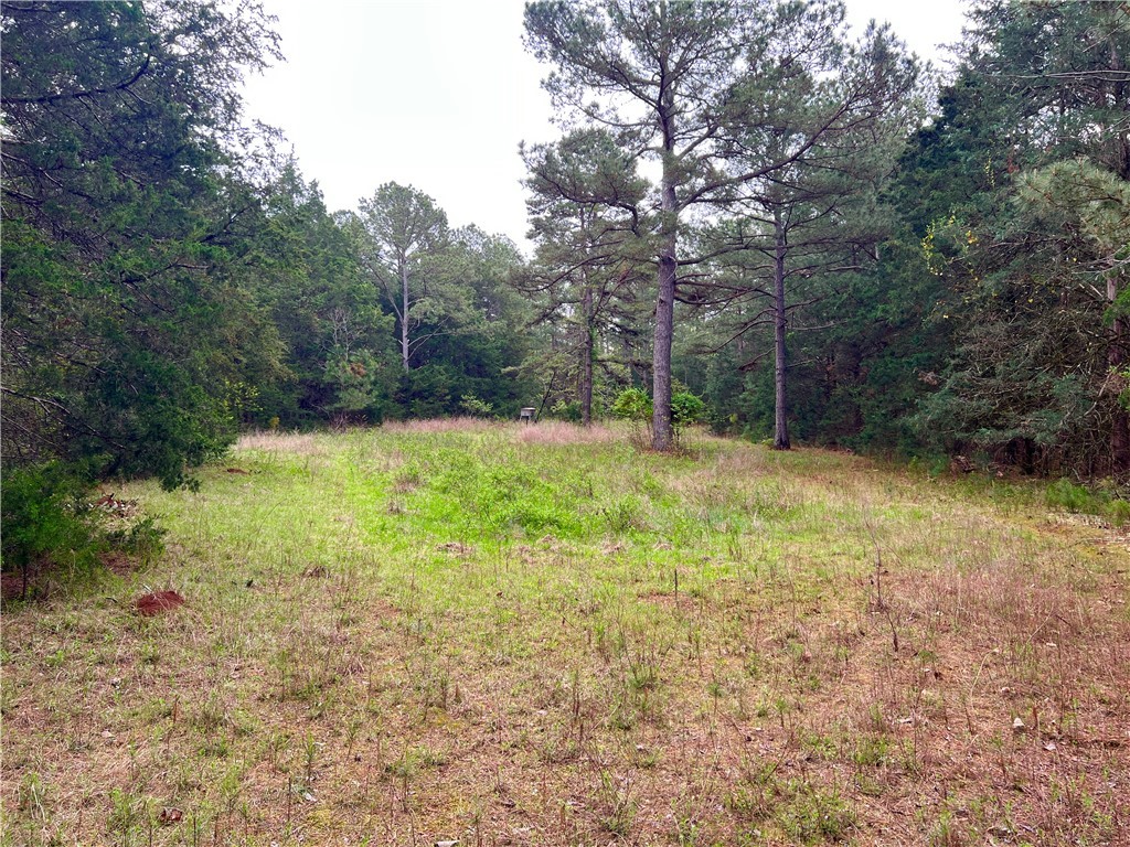81 North Highway, Calhoun Falls, South Carolina image 11