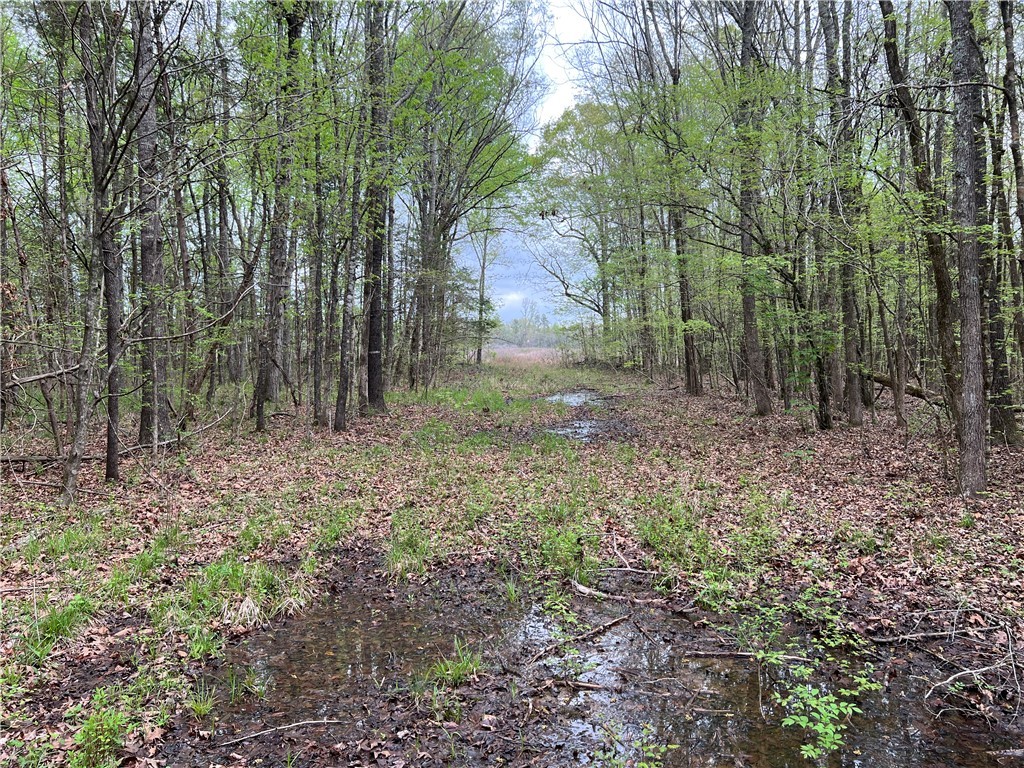 81 North Highway, Calhoun Falls, South Carolina image 15