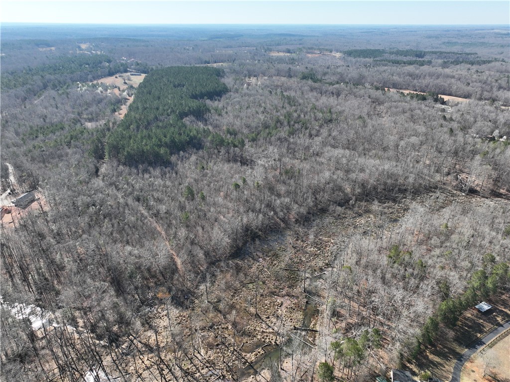400 Bolt Road, Gray Court, South Carolina image 11