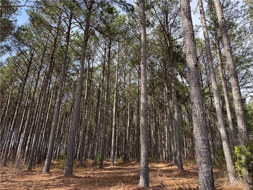 400 Bolt Road, Gray Court, South Carolina image 3