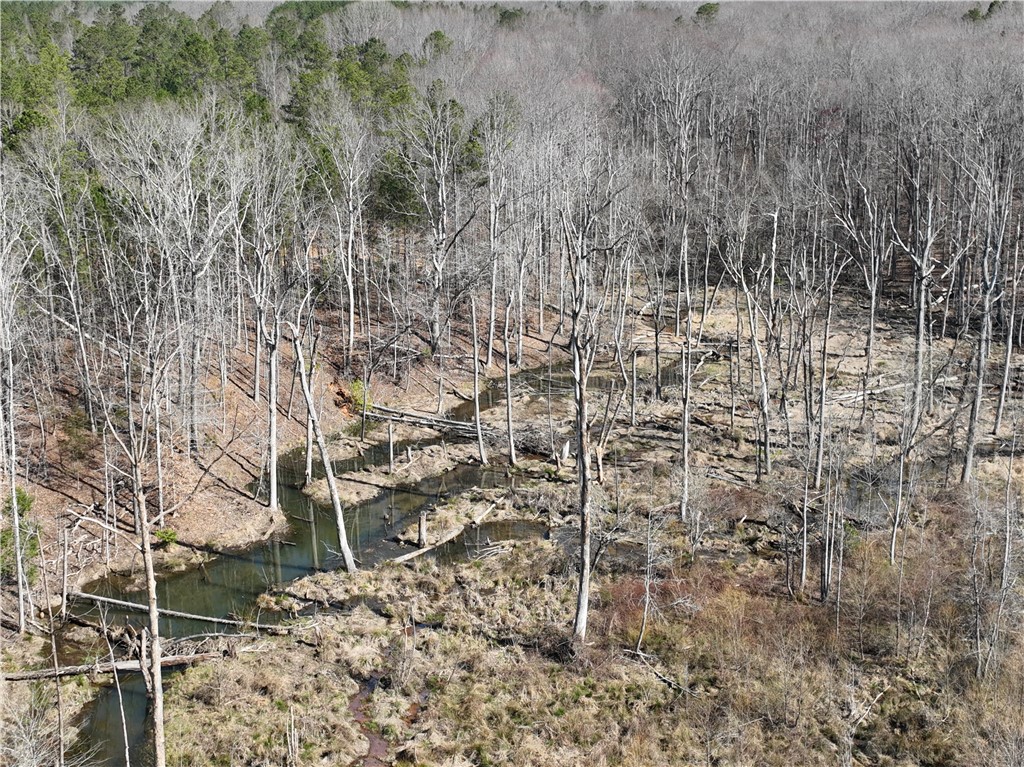 400 Bolt Road, Gray Court, South Carolina image 13