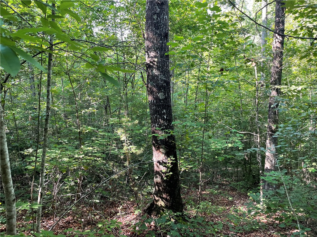 00 Whitewater Point Road, Tamassee, South Carolina image 9