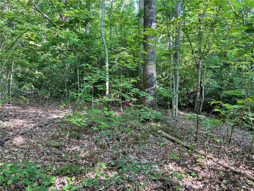 00 Whitewater Point Road, Tamassee, South Carolina image 12