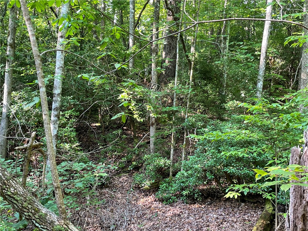 00 Whitewater Point Road, Tamassee, South Carolina image 13