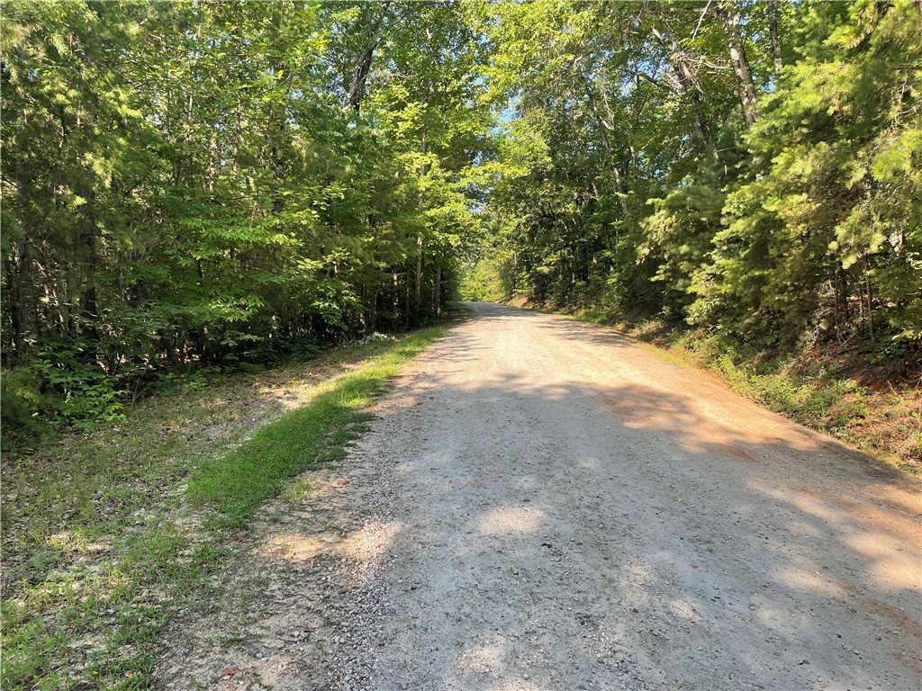 00 Whitewater Point Road, Tamassee, South Carolina image 15