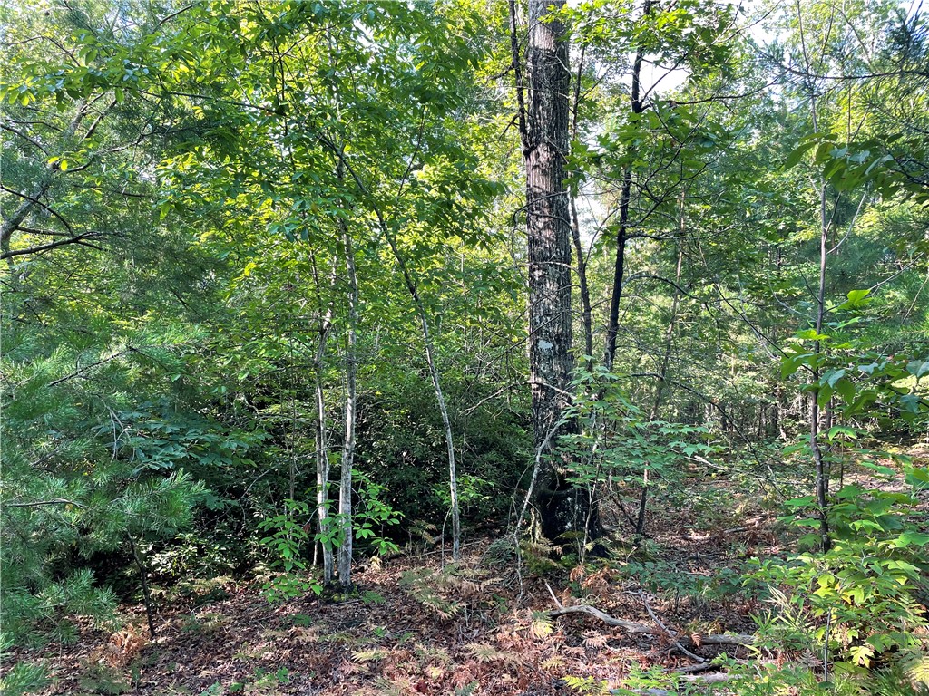 00 Whitewater Point Road, Tamassee, South Carolina image 8