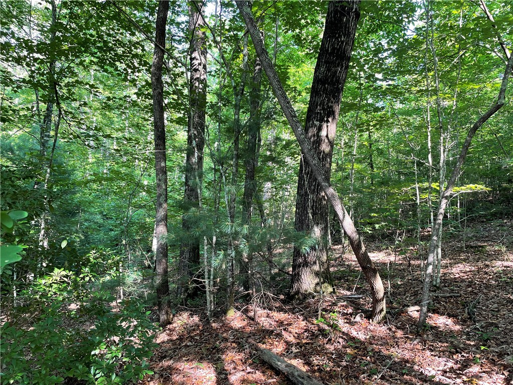 00 Whitewater Point Road, Tamassee, South Carolina image 11