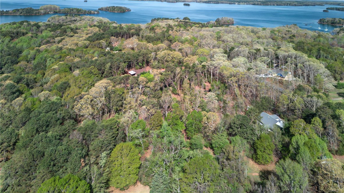 355 Peninsula Drive, Anderson, South Carolina image 33
