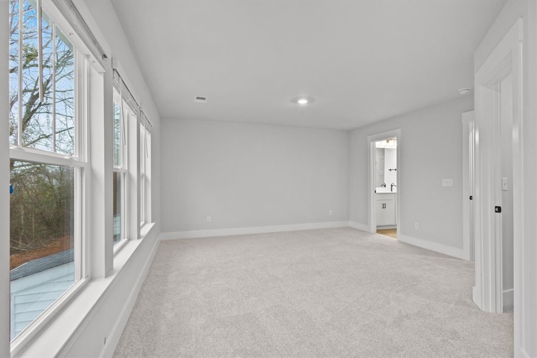 544 Harebell Way, Greenville, South Carolina image 13
