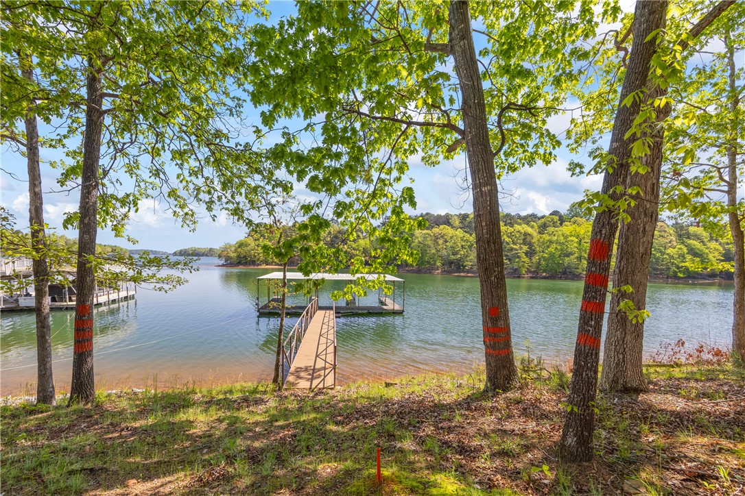 168 & 186 Wilderness Point, Hartwell, Georgia image 47