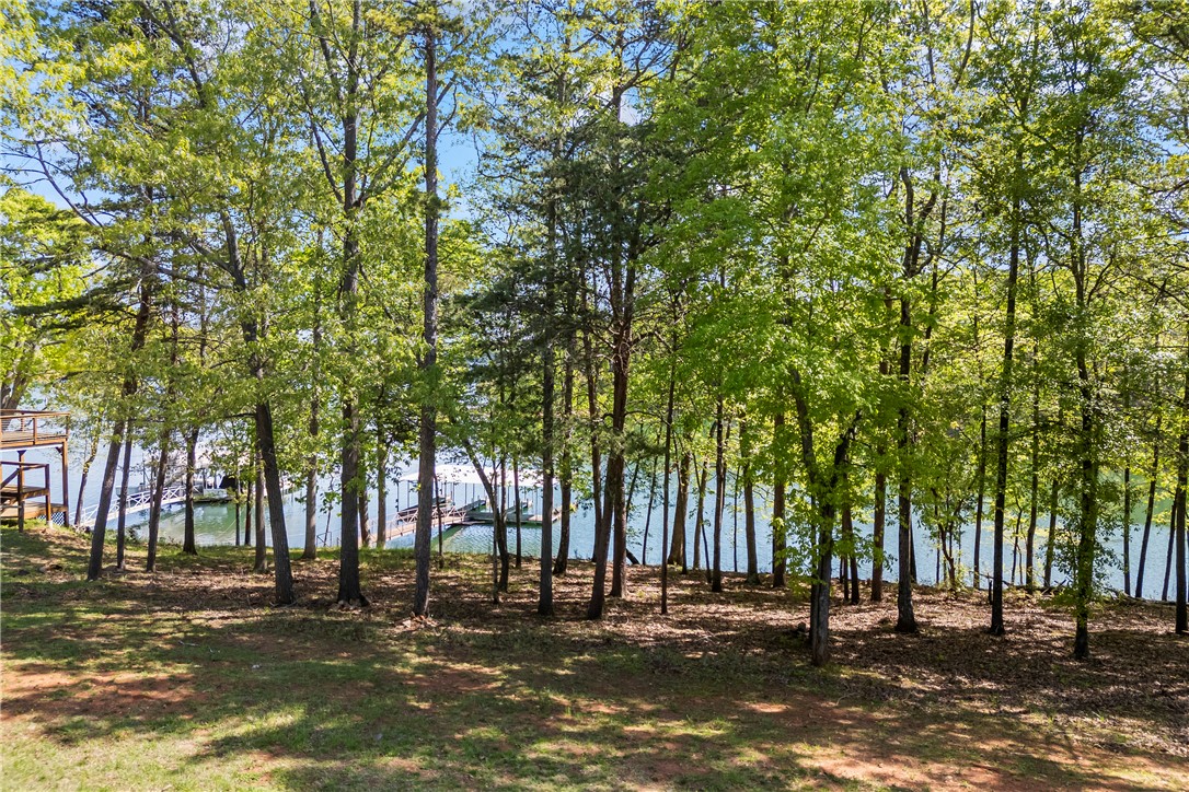 168 & 186 Wilderness Point, Hartwell, Georgia image 10