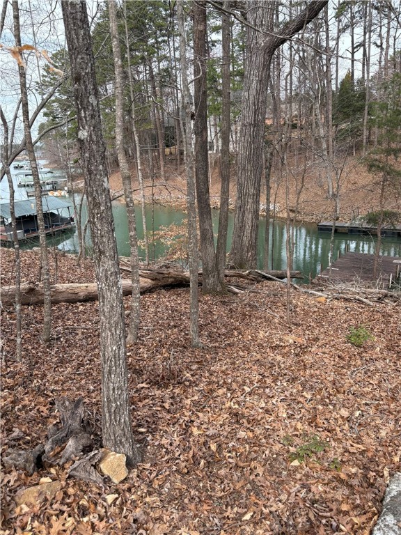 110 Shelter Cove Drive, Seneca, South Carolina image 4