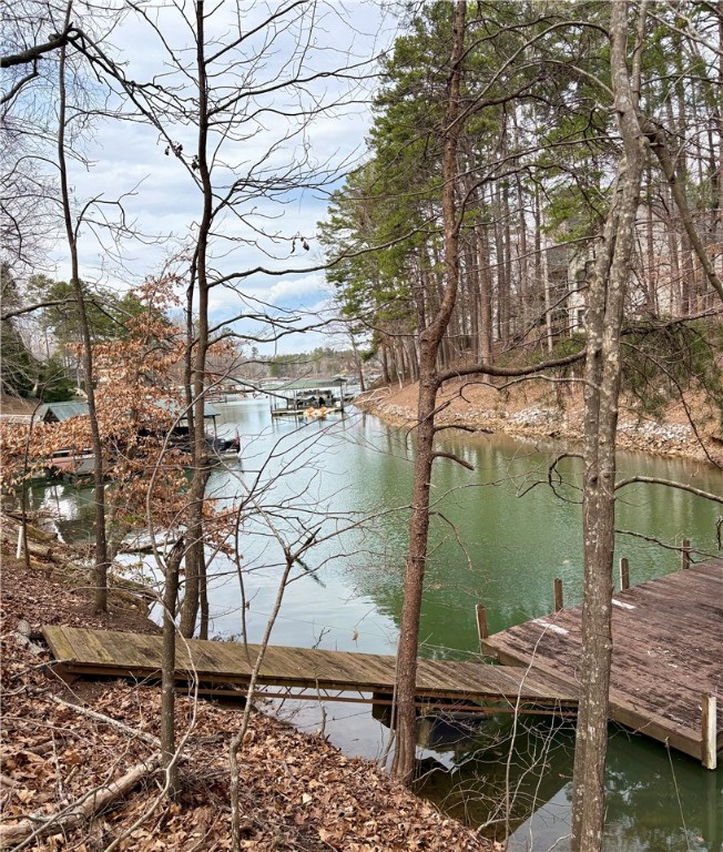 110 Shelter Cove Drive, Seneca, South Carolina image 6