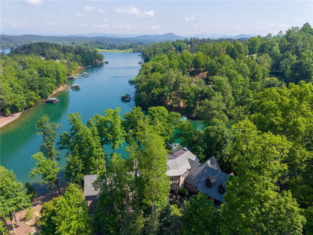 133 Leaping Brook Way, Six Mile, South Carolina image 6