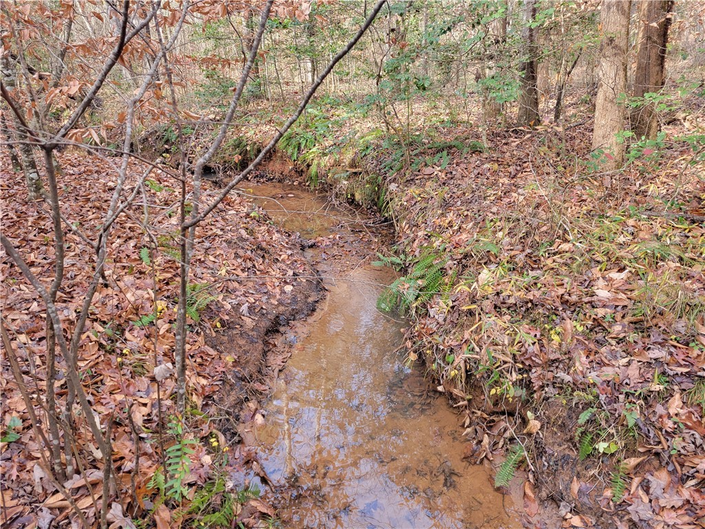 Lot 5 Old Flat Shoals Road, Walhalla, South Carolina image 11