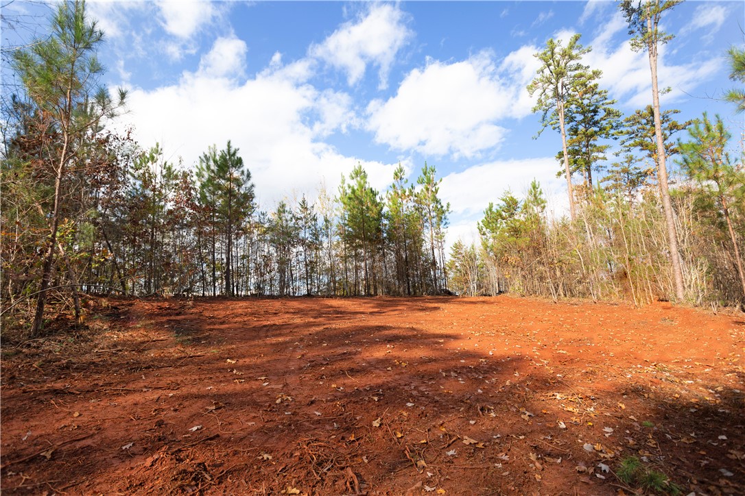 Lot 5 Old Flat Shoals Road, Walhalla, South Carolina image 7