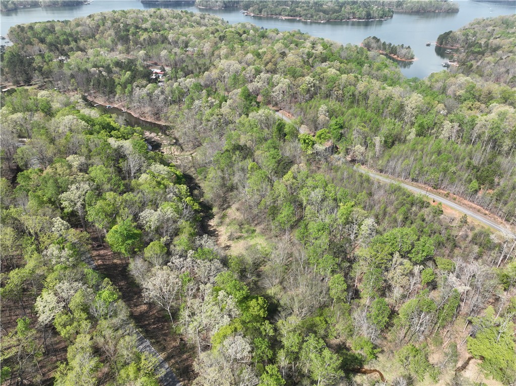 495 Shelor Ferry Road, Fair Play, South Carolina image 7