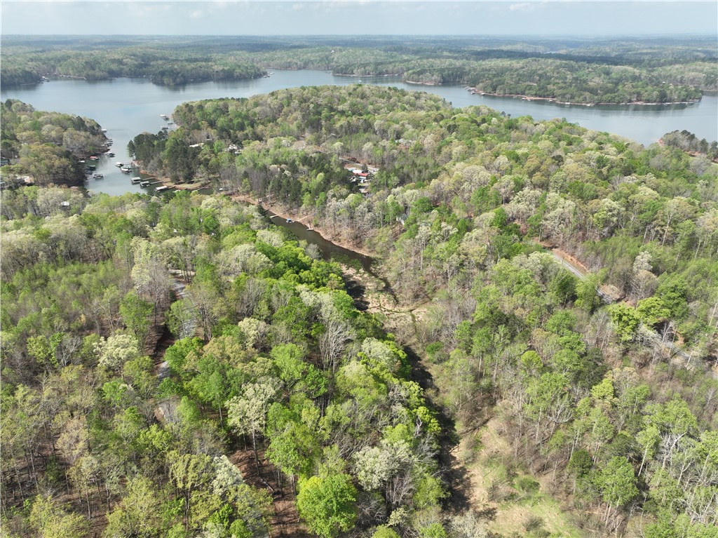 495 Shelor Ferry Road, Fair Play, South Carolina image 2