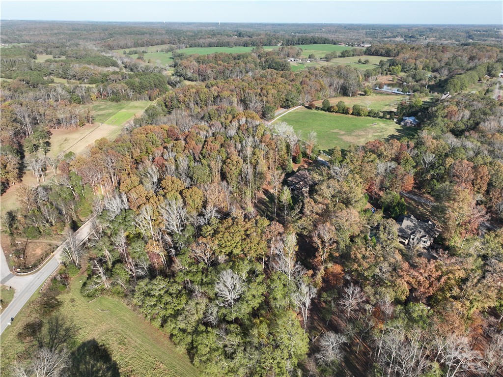 102 Benfields Ridge, Williamston, South Carolina image 4