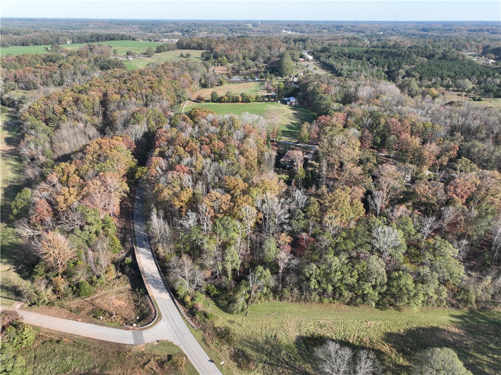 102 Benfields Ridge, Williamston, South Carolina image 3
