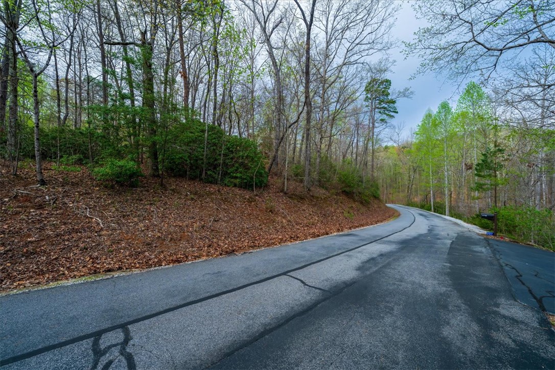 210 Talons Ridge Road, Seneca, South Carolina image 6
