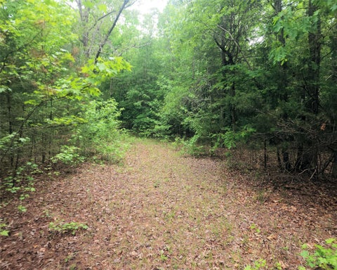 Vacant Land For Sale - 00 Stewart Dairy Road<br/> Laurens County, Gray Court, SC 29645