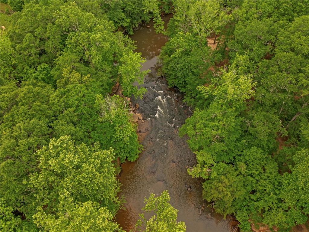 1 Gentle Winds Way, Greenville, South Carolina image 40