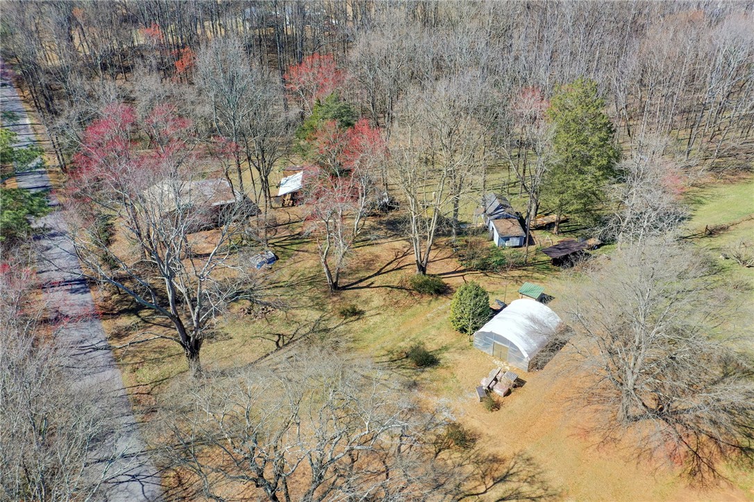00 Guyton Road, Williamston, South Carolina image 24