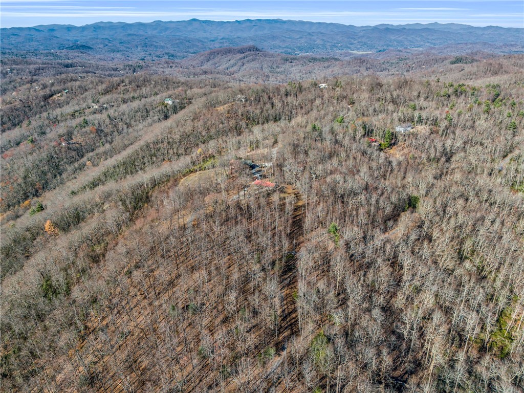 229 Wetherbee Lane, Sunset, South Carolina image 36