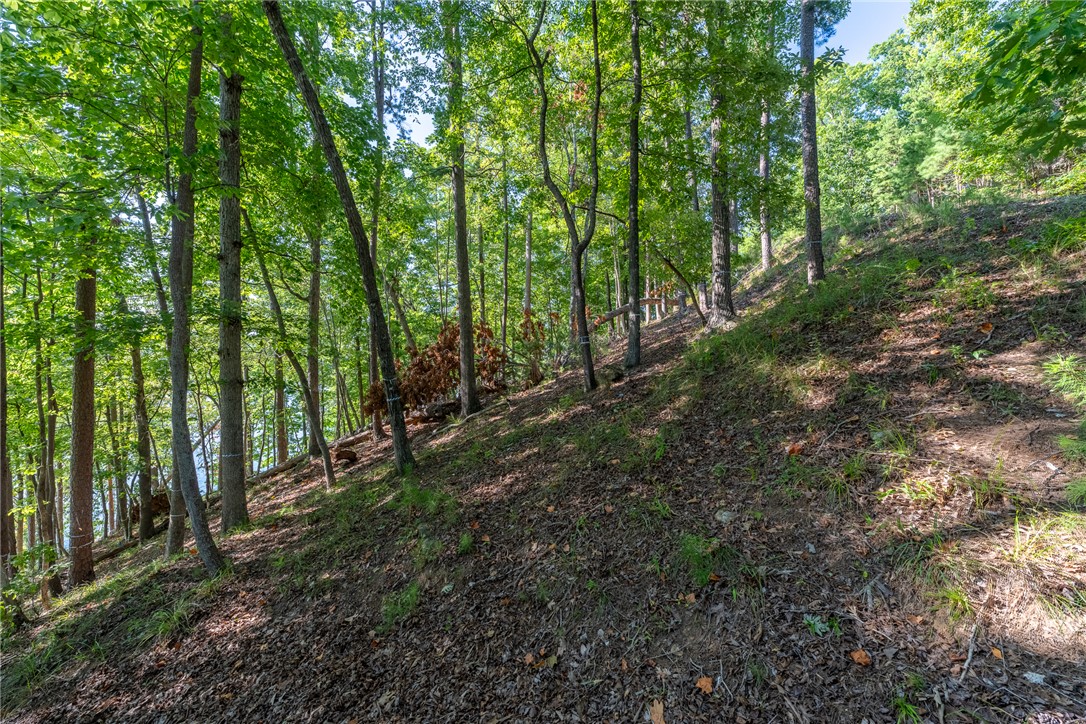 107 S Turtle Rock Road, Sunset, South Carolina image 18