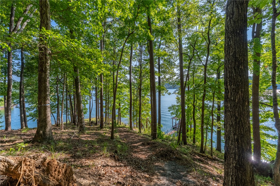 107 S Turtle Rock Road, Sunset, South Carolina image 3