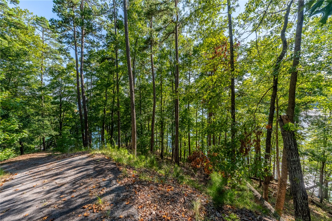 107 S Turtle Rock Road, Sunset, South Carolina image 17