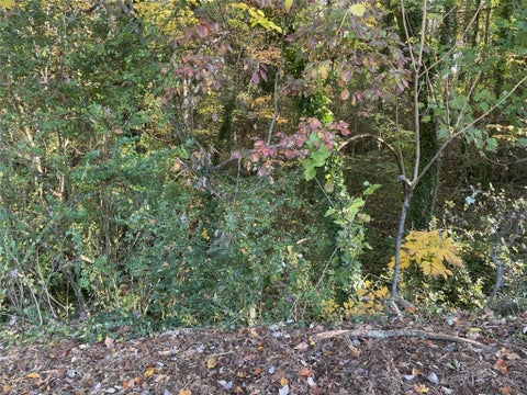 Vacant Land For Sale - LOT 10 Brookforest Drive<br/> Anderson, SC 29621