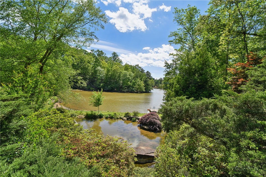 41 Lake Ridge Drive, Greenville, South Carolina image 6