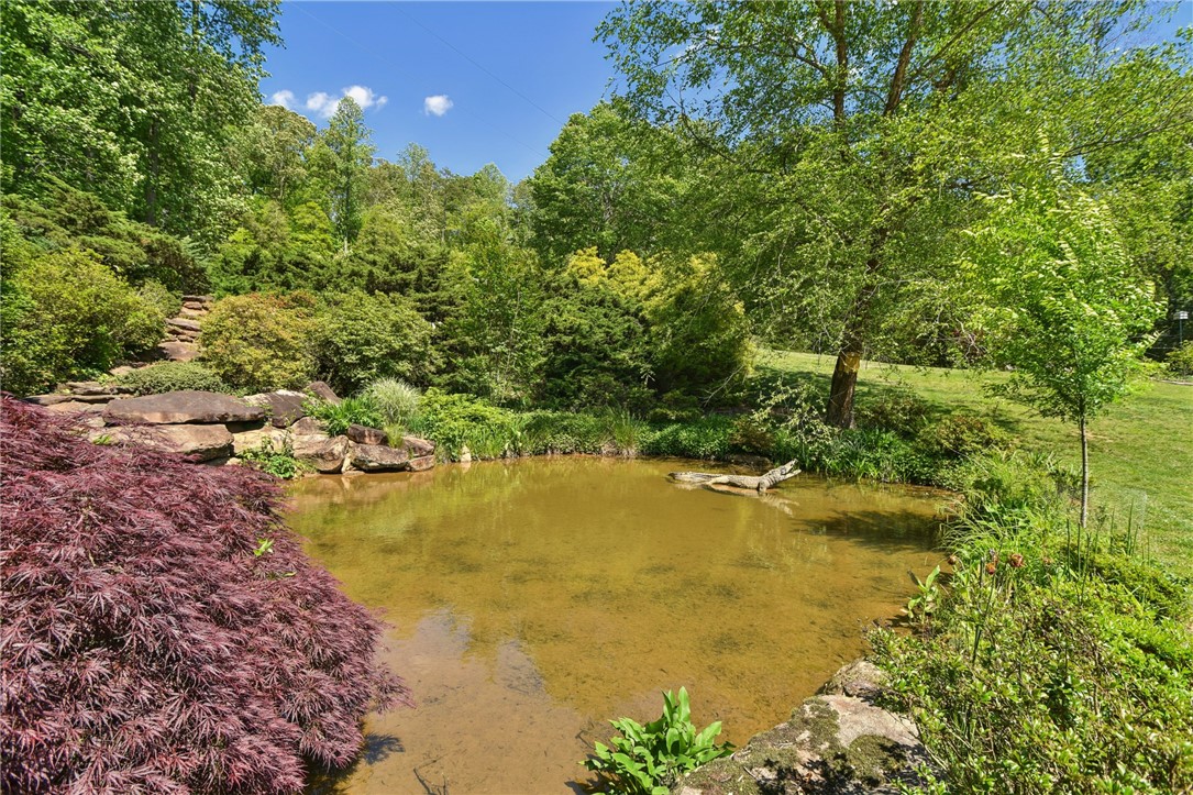 41 Lake Ridge Drive, Greenville, South Carolina image 3