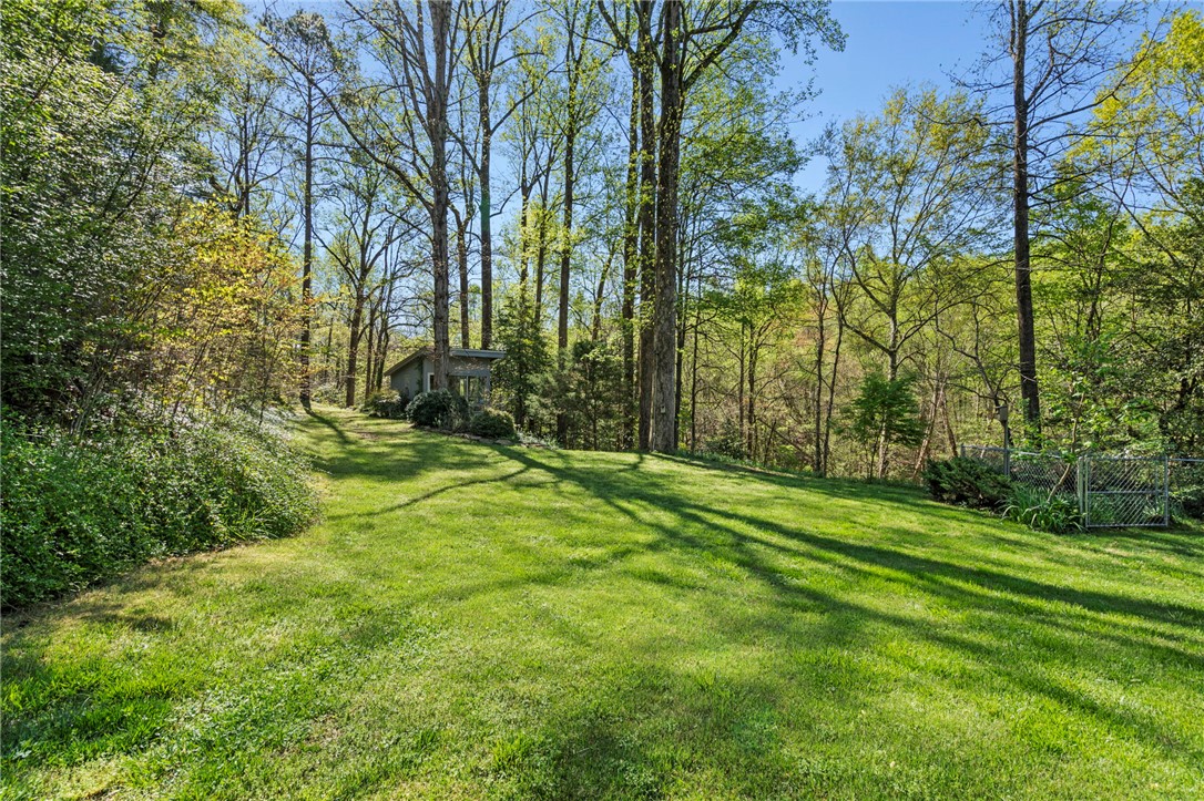 41 Lake Ridge Drive, Greenville, South Carolina image 38